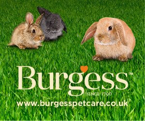 Burgess AD
