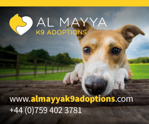 Al Mayya AD